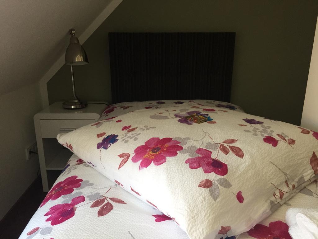 Elbsandstein Apartments Майсен Стая снимка